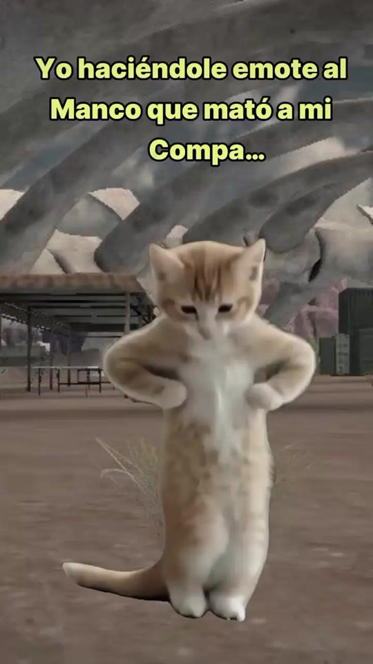 TikTok video thumbnail by s0y_j0rdy