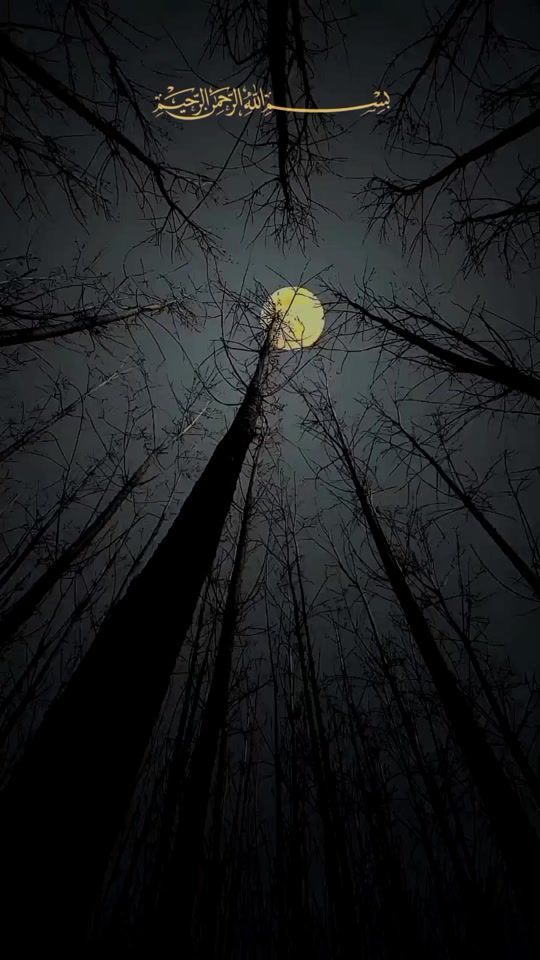 TikTok video thumbnail by neg4n_77