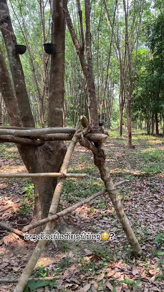 TikTok video thumbnail by hatsady_ctv