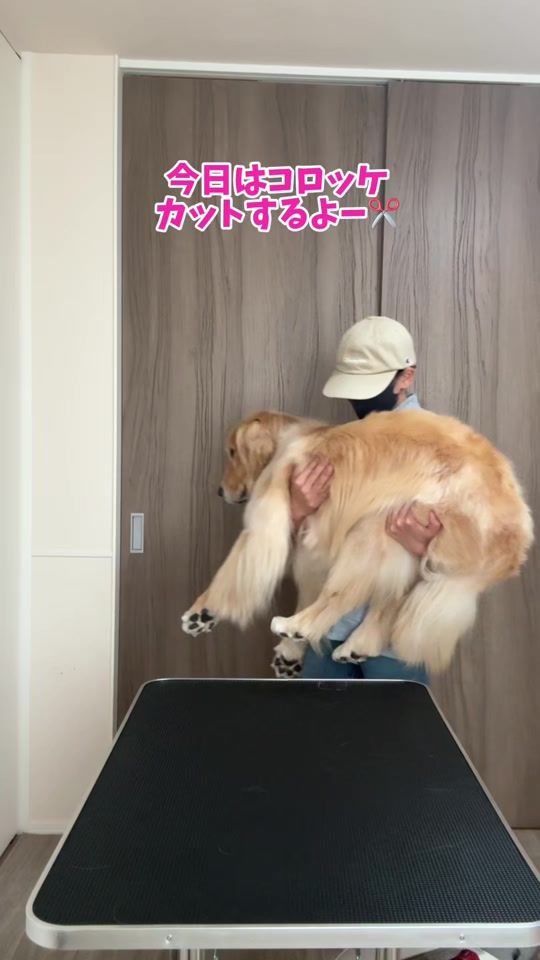 TikTok video thumbnail by koro11.18