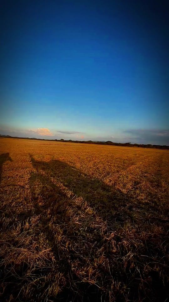 TikTok video thumbnail by luis_alberto_0605