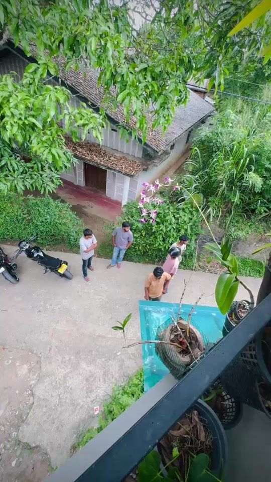 TikTok video thumbnail by x_achu