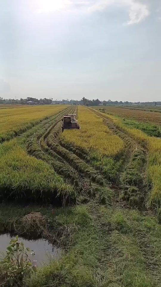 TikTok video thumbnail by seventhwind