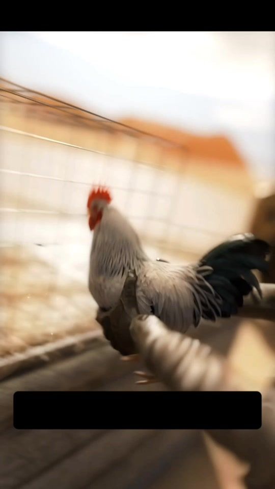 TikTok video thumbnail by zala_com