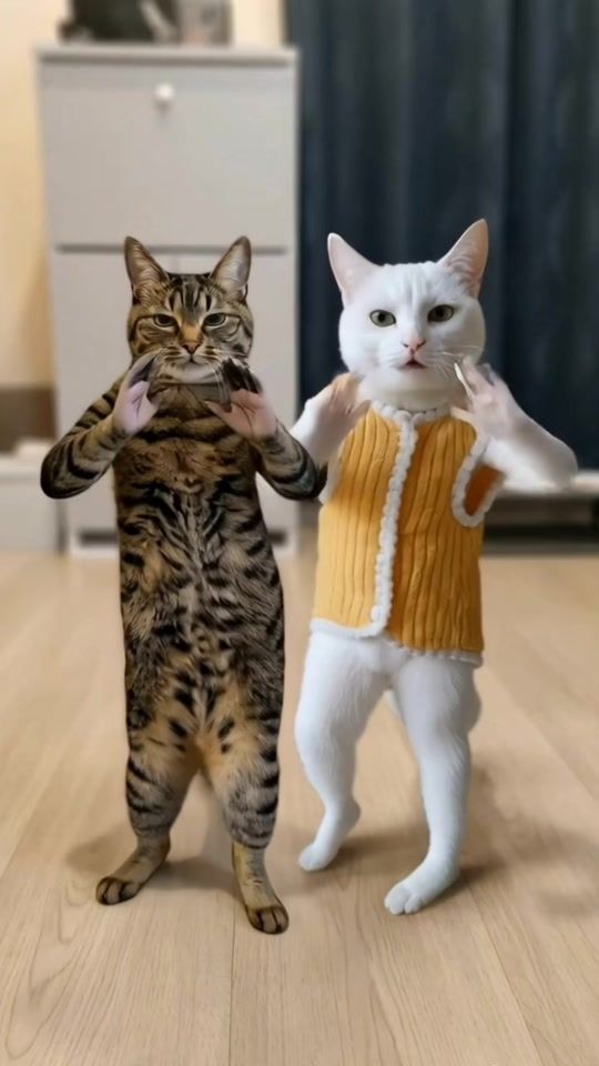 TikTok video thumbnail by hotate.meow