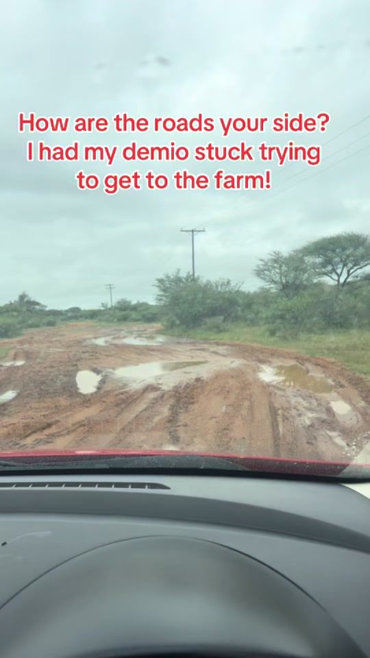 TikTok video thumbnail by atlegangfarms
