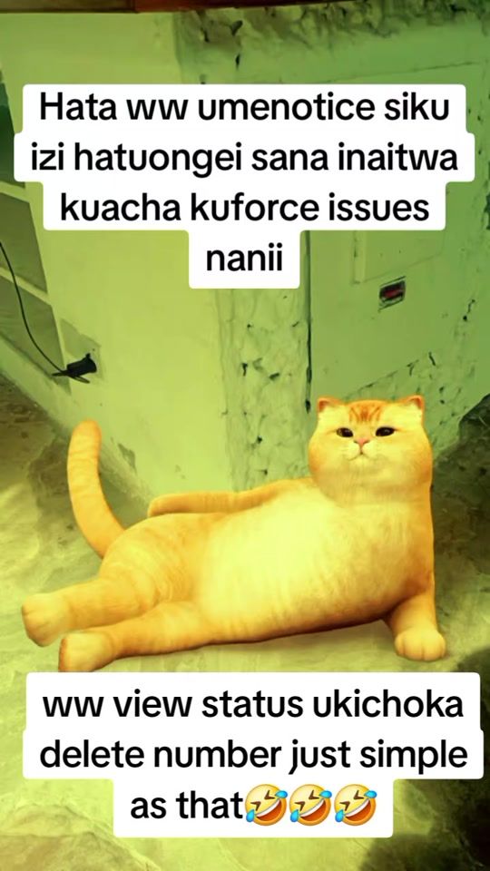 TikTok video thumbnail by peshky004
