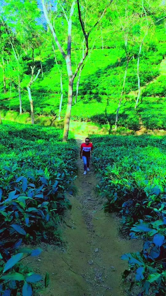 TikTok video thumbnail by luthfurrahman668