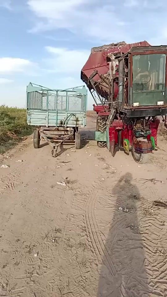 TikTok video thumbnail by isa_isayevvv