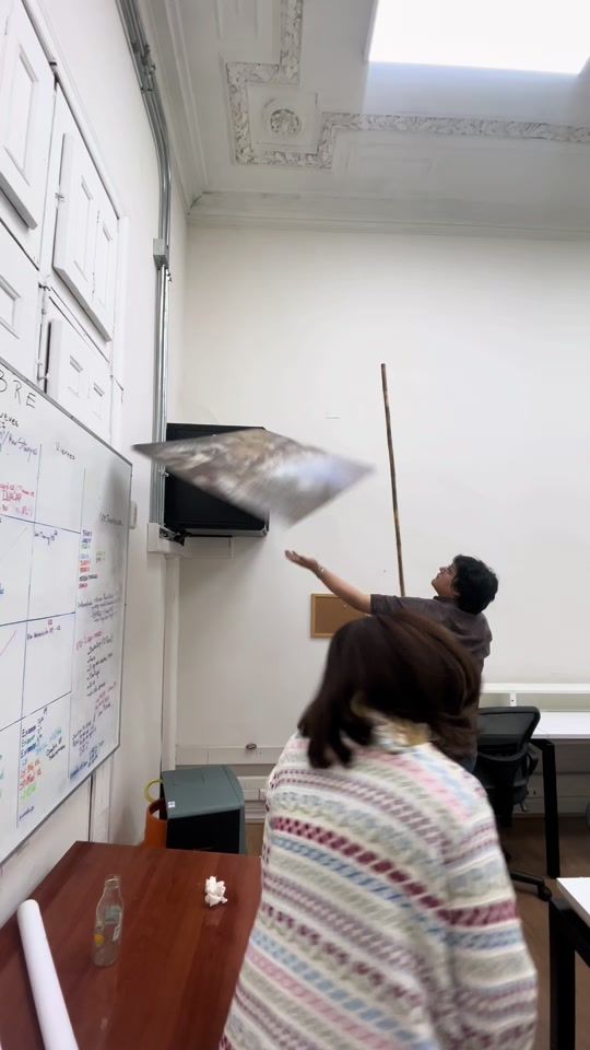 TikTok video thumbnail by morronestudio