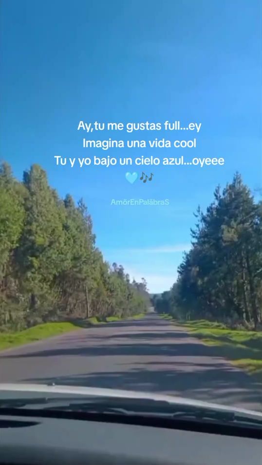 TikTok video thumbnail by adrianitxa98