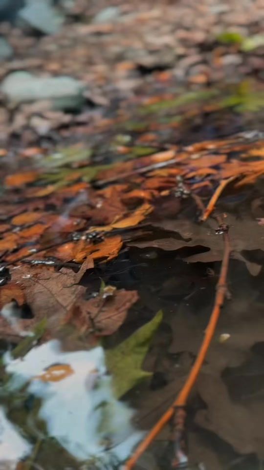 TikTok video thumbnail by plar.ao.zuwe.1
