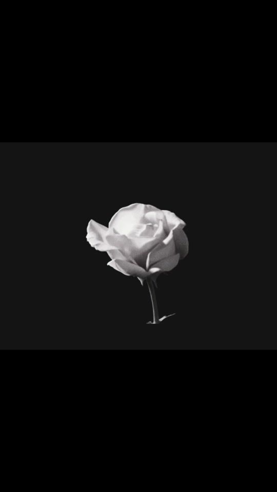 TikTok video thumbnail by levistears_