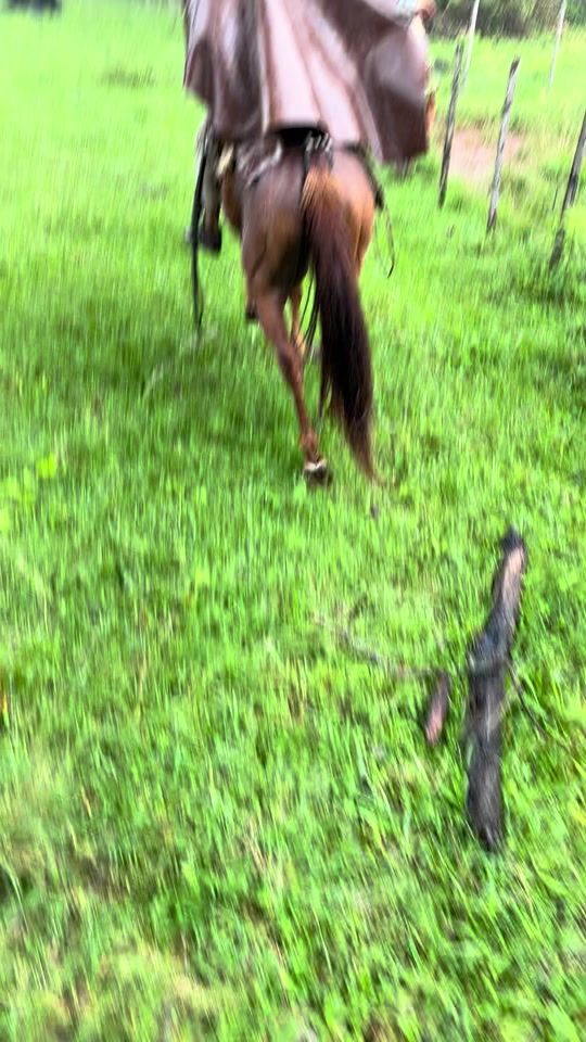 TikTok video thumbnail by adriancespedes296