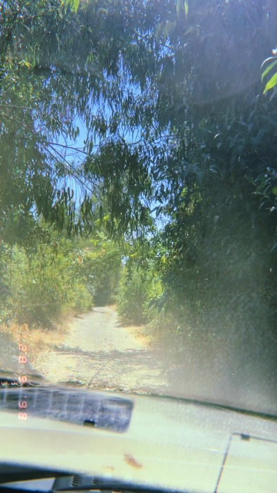 TikTok video thumbnail by jabyisabel