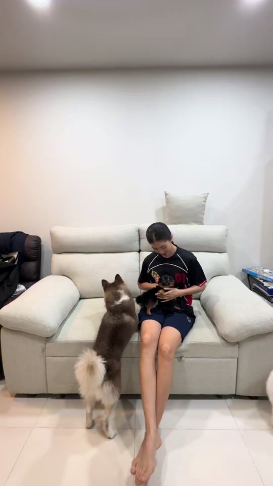 TikTok video thumbnail by panipak2540