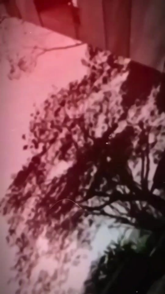 TikTok video thumbnail by rone_vai_ff