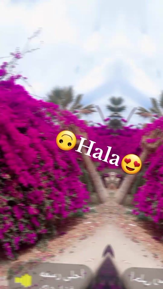 TikTok video thumbnail by halaahnshy