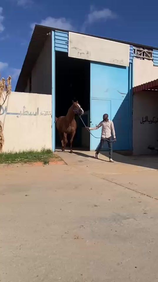 TikTok video thumbnail by mlqatmpagpy