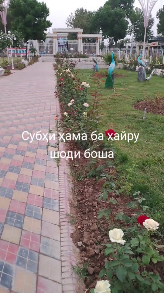 TikTok video thumbnail by user12002248oo