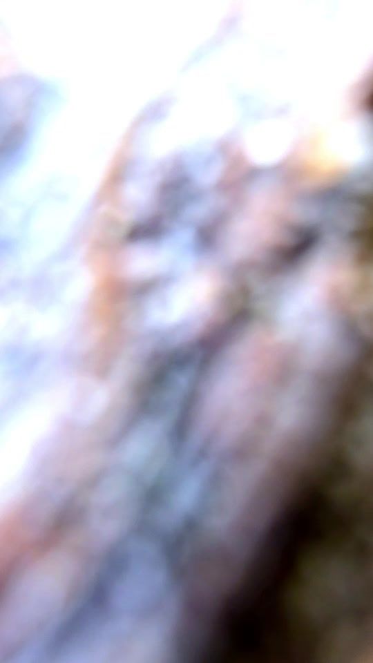 TikTok video thumbnail by prime.vlora