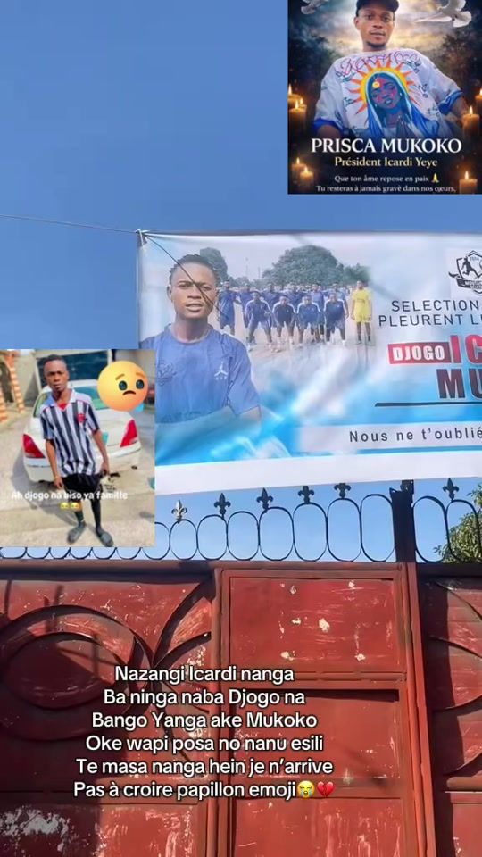 TikTok video thumbnail by kardy_international