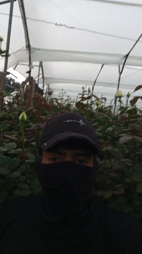 TikTok video thumbnail by yosoyrobin1