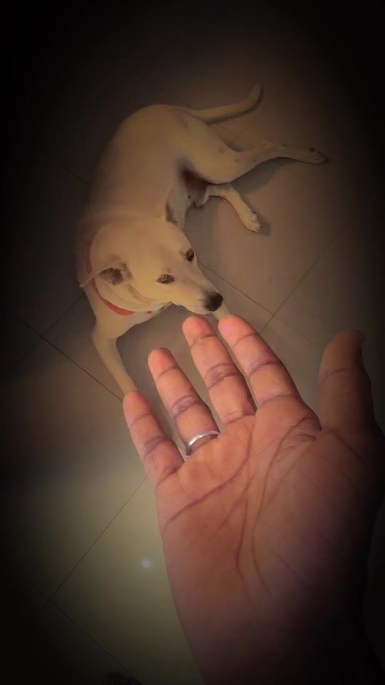 TikTok video thumbnail by dj_da_lo_anti_stress
