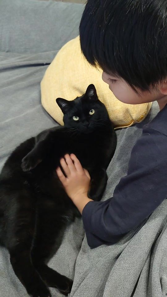 TikTok video thumbnail by kuroneko_gigi