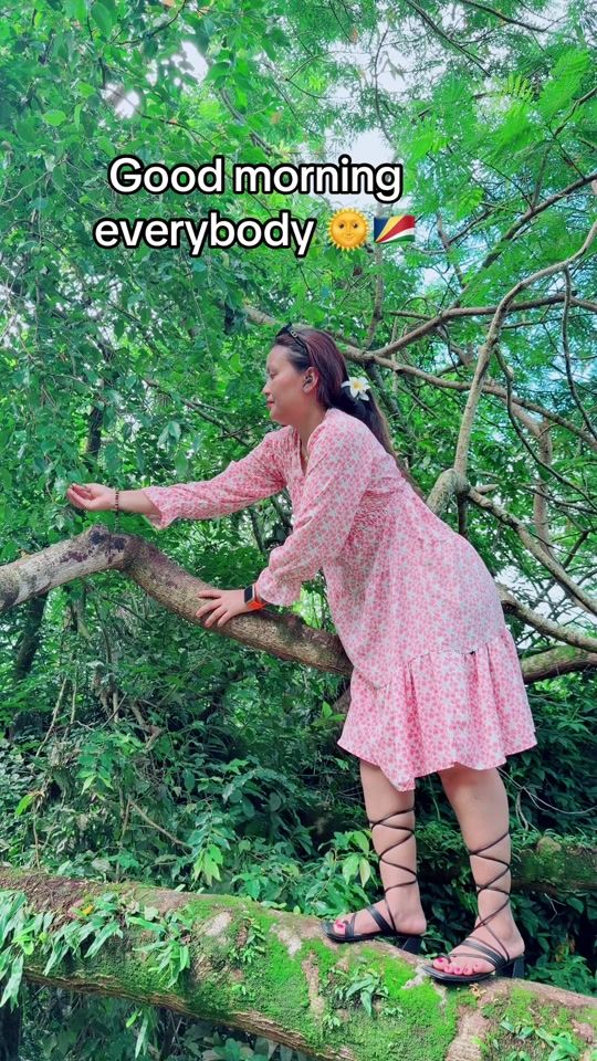 TikTok video thumbnail by dongmaya00