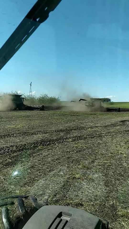 TikTok video thumbnail by jose3350burgos
