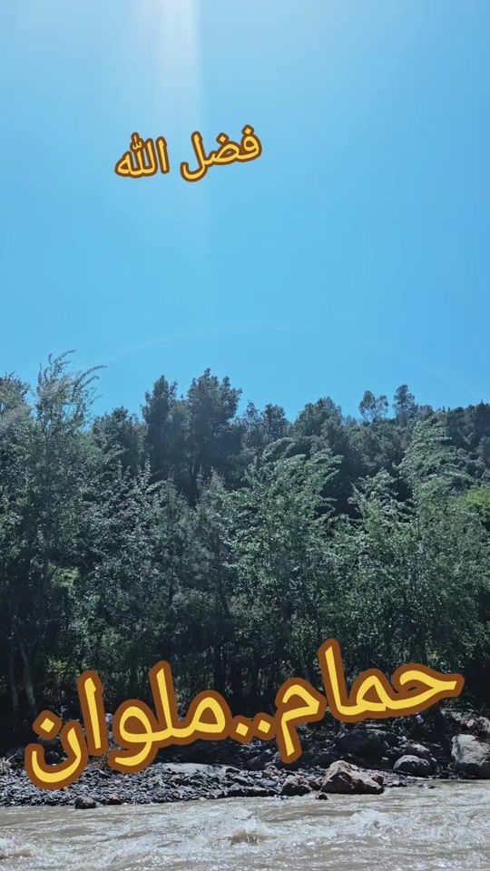 TikTok video thumbnail by userld1ye64y00