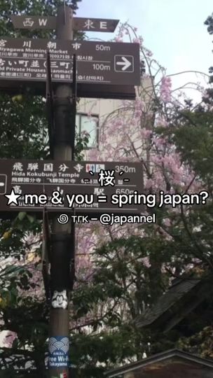 TikTok video thumbnail by japannel