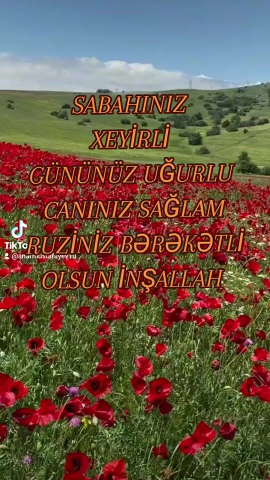 TikTok video thumbnail by anarmustafayev10