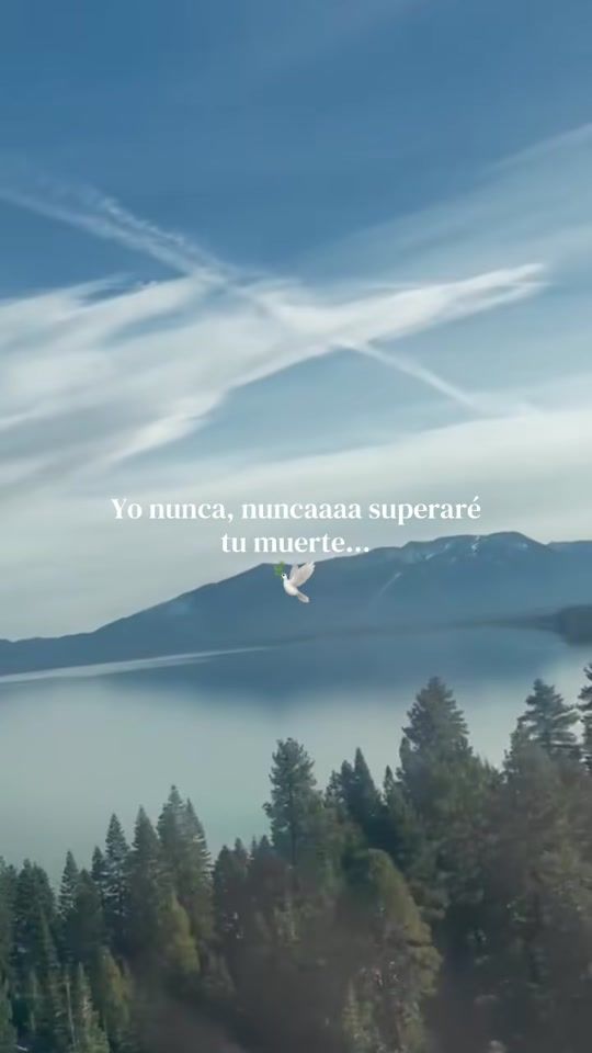 TikTok video thumbnail by andrespc022003