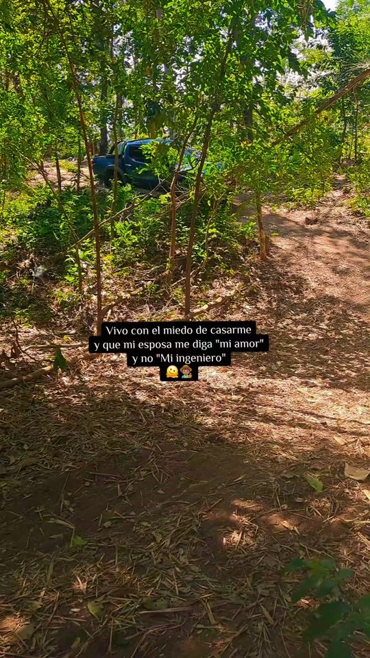 TikTok video thumbnail by amigo_de_la_granja