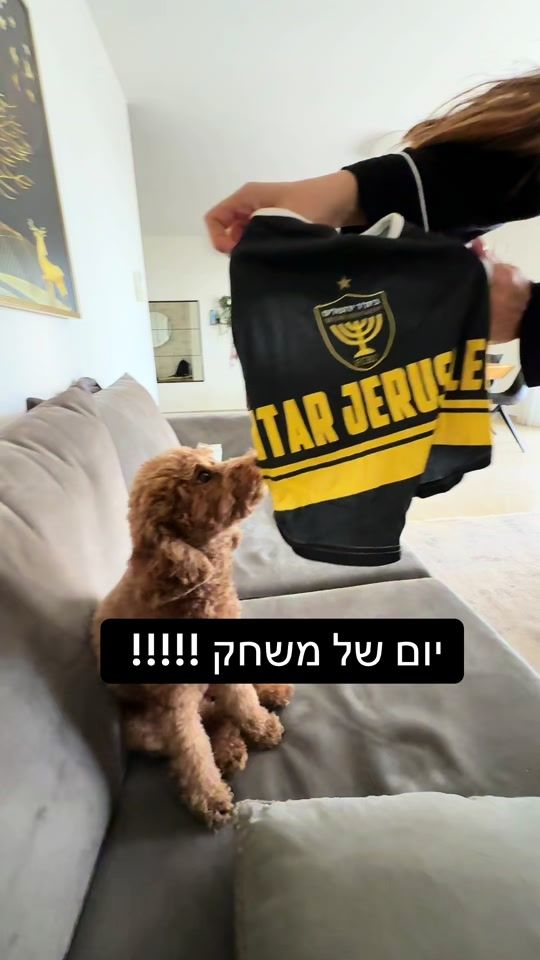 TikTok video thumbnail by osher_cohen01