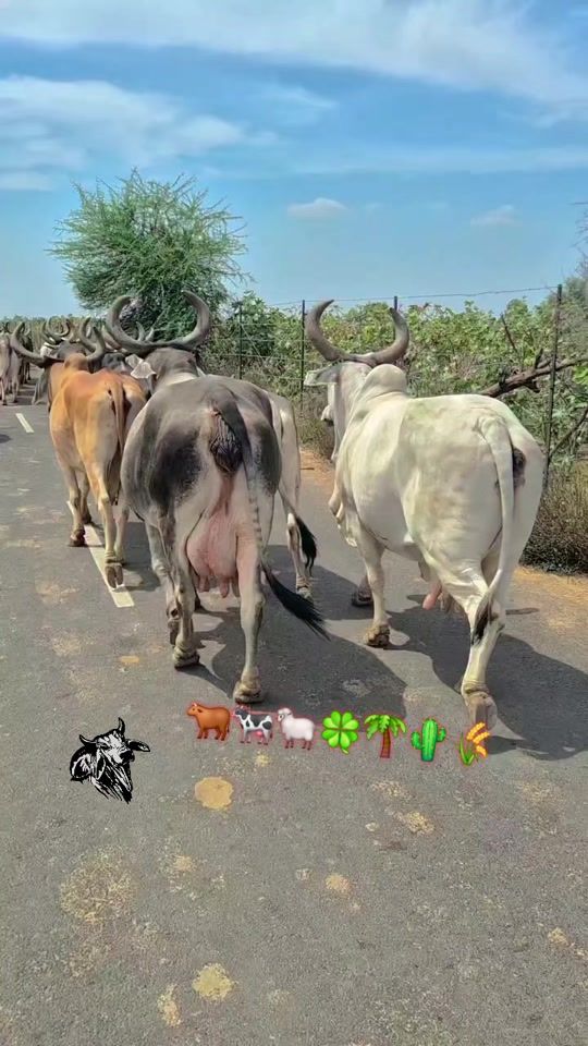 TikTok video thumbnail by _son_african