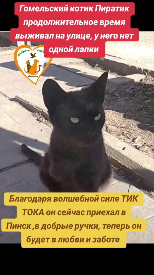 TikTok video thumbnail by user780749013477
