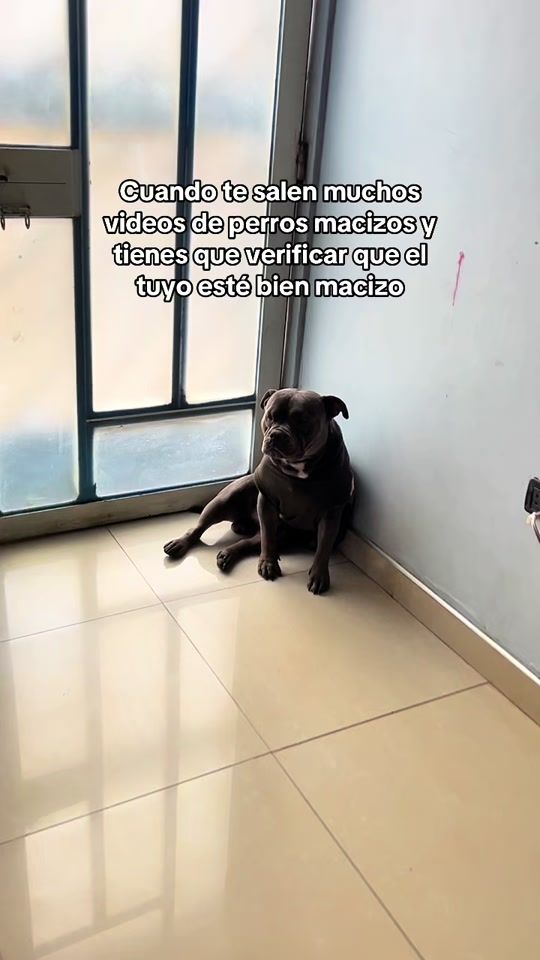TikTok video thumbnail by rocky.balbully