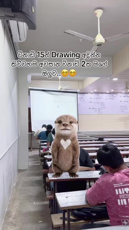 TikTok video thumbnail by etarachchi