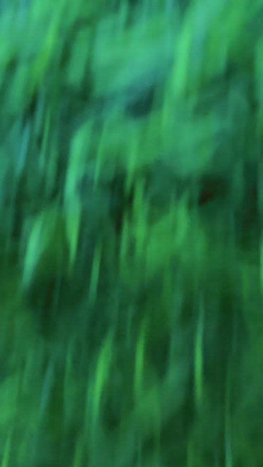 TikTok video thumbnail by kohbasha