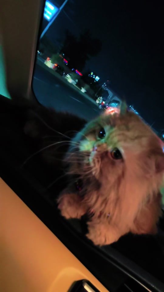 TikTok video thumbnail by 111_rainimra