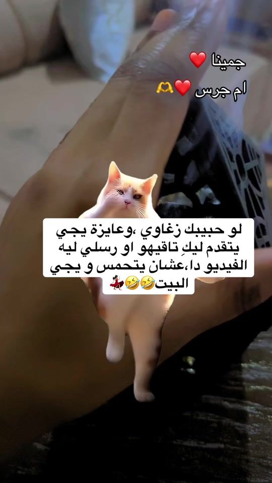 TikTok video thumbnail by elnour.girl