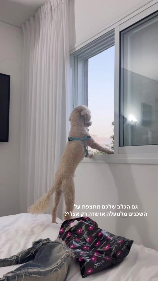 TikTok video thumbnail by _agamazran_