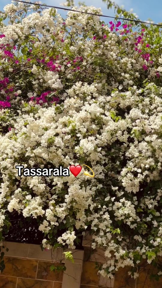 TikTok video thumbnail by marocain1622