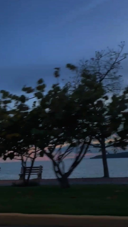 TikTok video thumbnail by vlyrics.pty