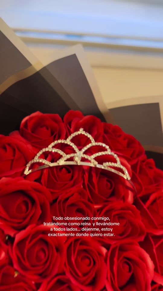 TikTok video thumbnail by antoniaafig_