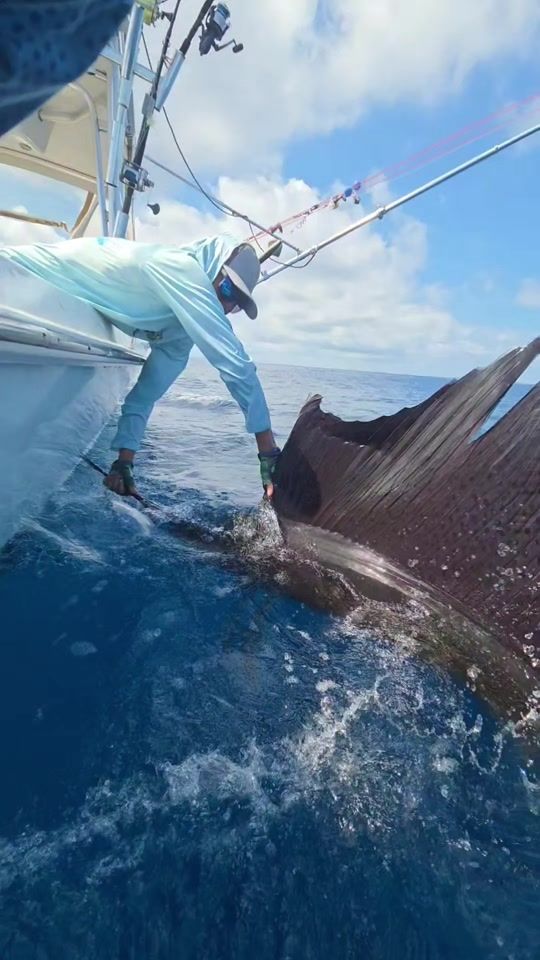TikTok video thumbnail by crprimotackle