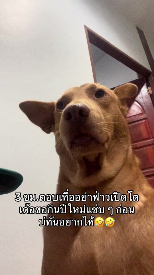 TikTok video thumbnail by pepsiii115